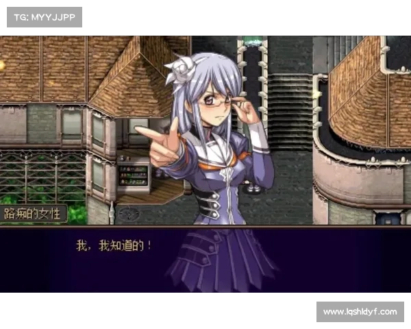 梦幻骑士1 攻略