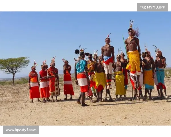 部落冲击新手进阶指南，助你部落称霸